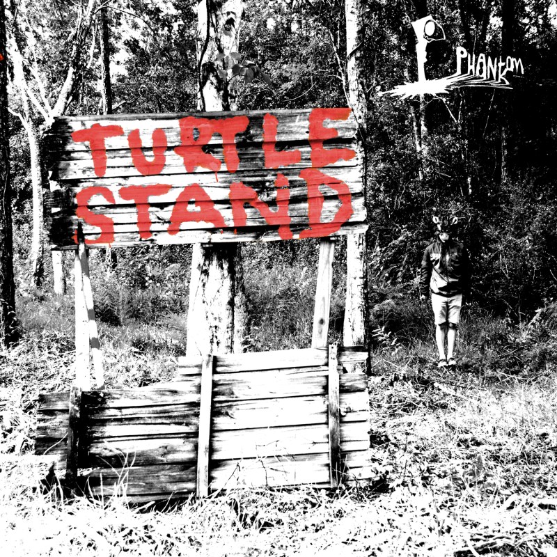 TurtleStand_FrontCover_Logo_1500pWeb